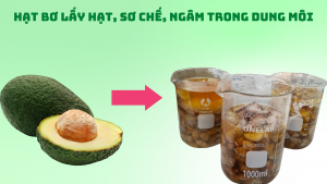 xổ số kiếm tiền tại nhà