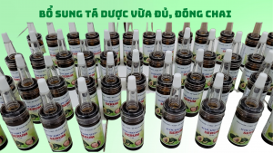 xổ số kiếm tiền tại nhà